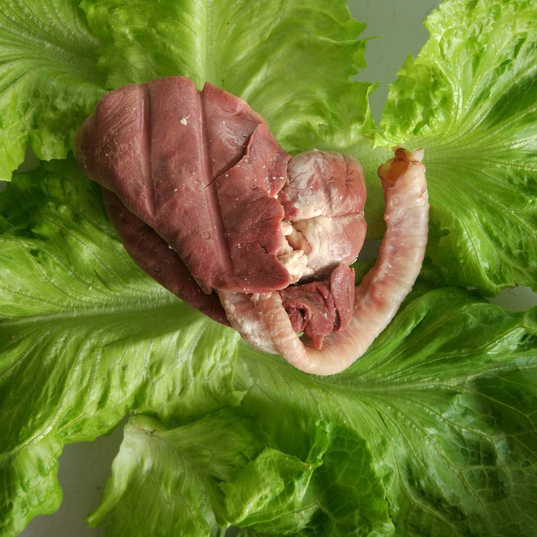 星空app官方网页