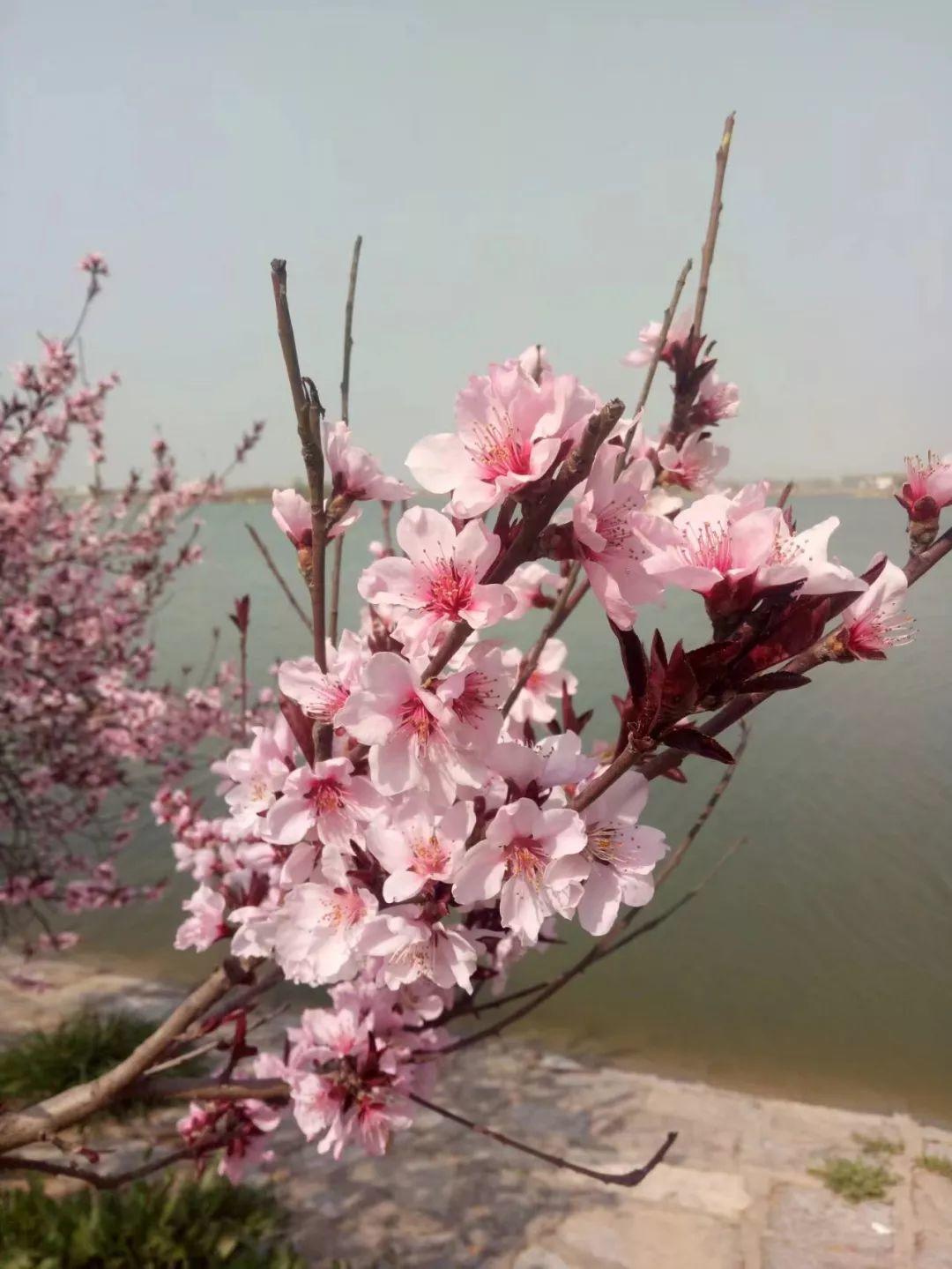 星空app官方网页