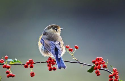 30日NBA推荐:雷霆VS快船_星空app官网(图1) 星空官方网站