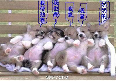 星空app官方网页