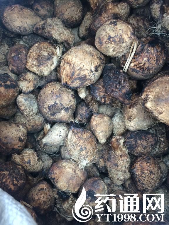 星空app官方网页