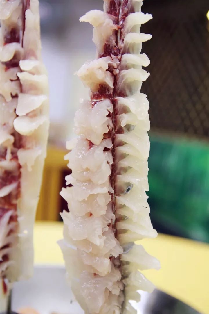 星空app官方网页