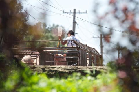 下眼影的画法 手把手教你画下眼影的正确位置和技巧“星空app官方网页”(图1) 星空app官方网页