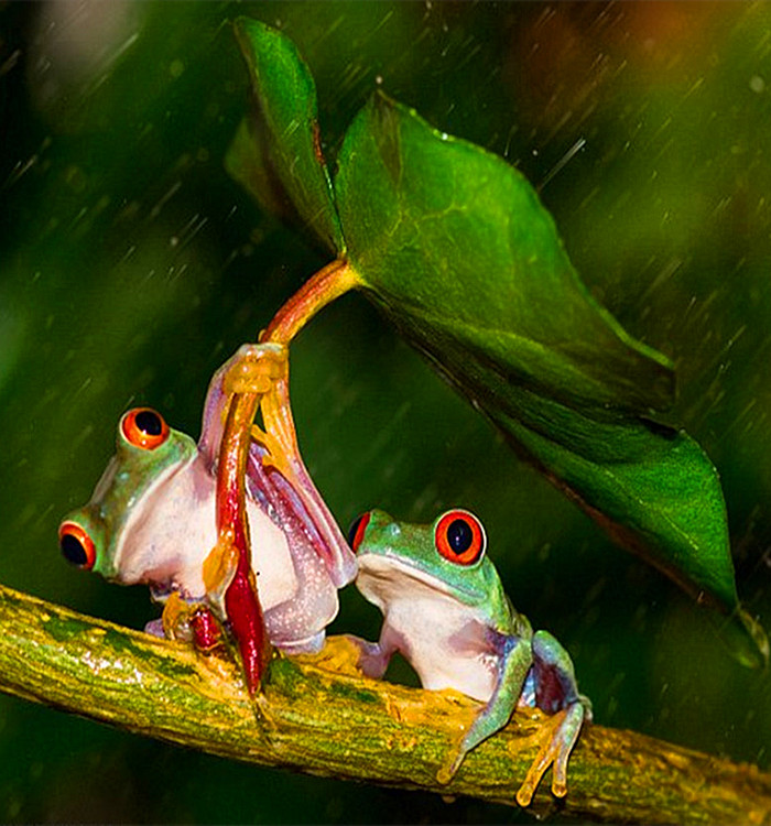 德国或考虑可再生能源征税提议“星空app官方网页”(图3) 星空app官网