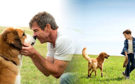 星空app官方网页