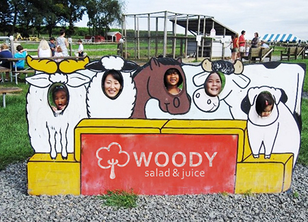 星空app官方网页