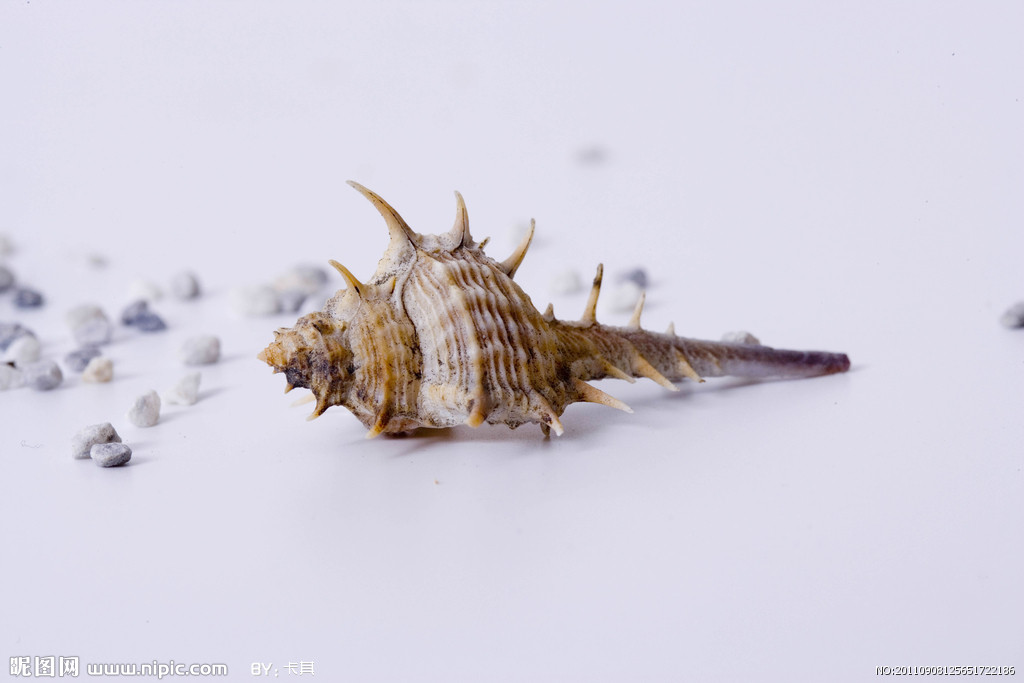 星空app官方网页|心理治疗常见认识误区盘点(图1) 星空app官网