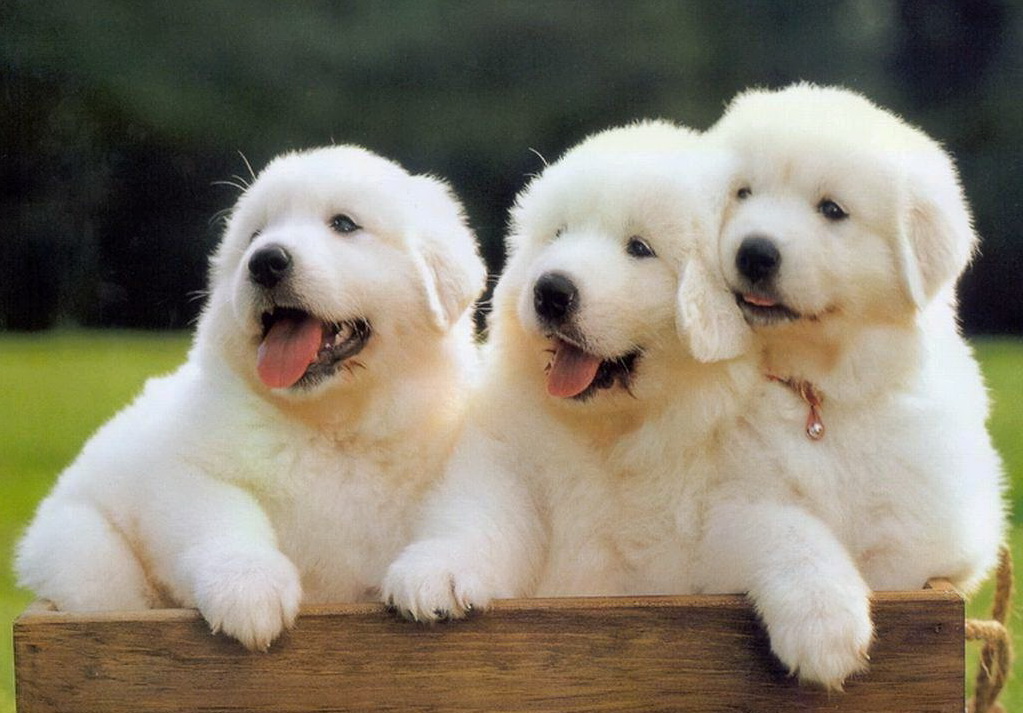 星空app官方网页